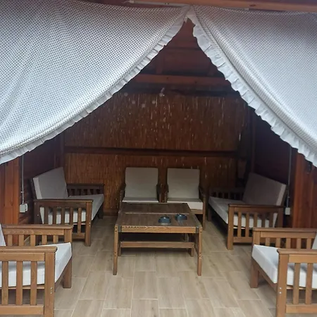 Daire Gavrilovic Martinci